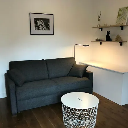 Studio Chamonix-mont-blanc, 1 Pièce, 2 Personnes - Fr-1-507-52 Appartement